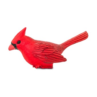Красный кардинал, XL