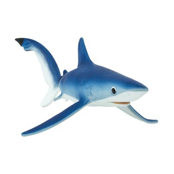 Голубая акула, XL
