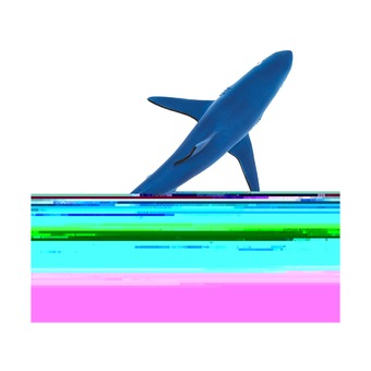 Голубая акула, XL