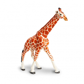 Сетчатый жираф, XL