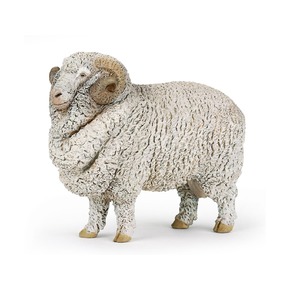 Мериносная овца