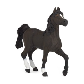 Арабский конь