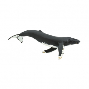 Горбатый кит XL